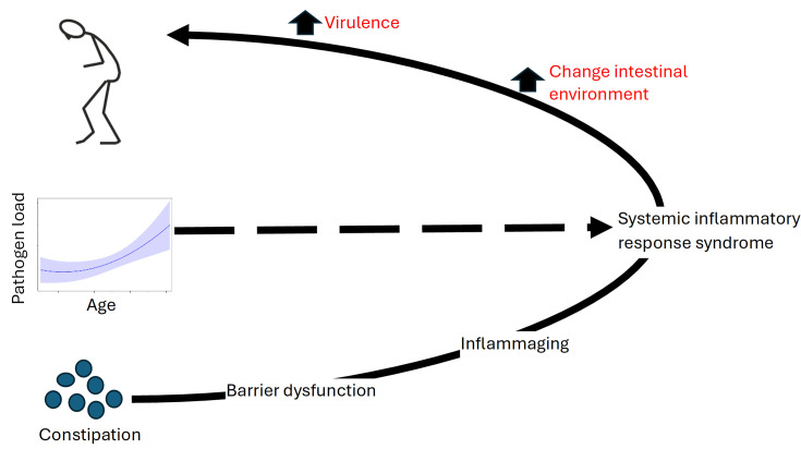 Interplay of constipation, intestinal barrier dysfunction and fungal exposome in aetiopathogenesis of Parkinson's disease: hypothesis with supportive data.