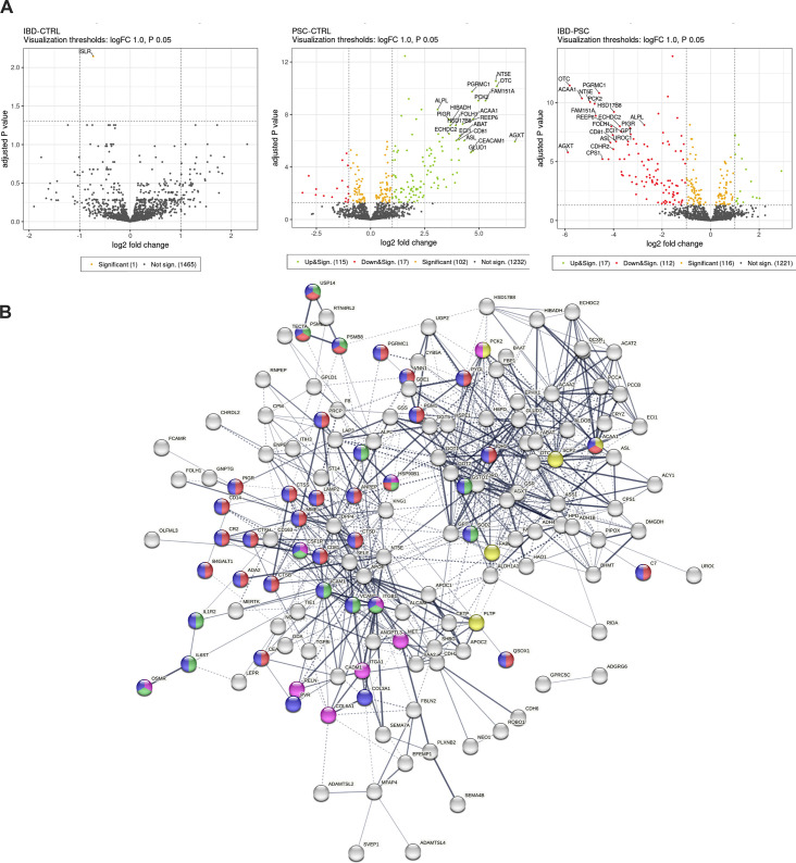 Primary bile acid shapes peripheral immunity in inflammatory bowel disease-associated primary sclerosing cholangitis.