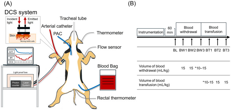 Non-invasive monitoring of microcirculation dynamics in hypovolemic shock: a novel application of diffuse correlation spectroscopy.