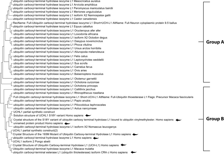 Integration of proteomics and bioinformatics in traumatic brain injury biomarker discovery.