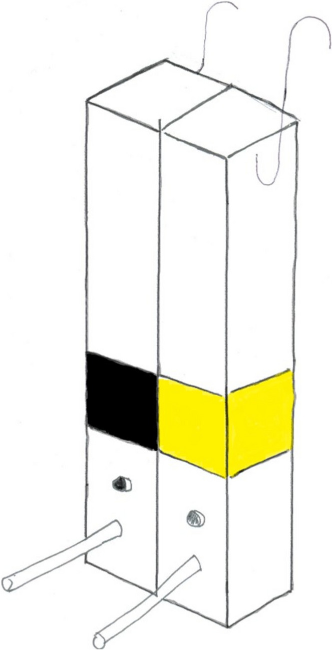 Abstract Image