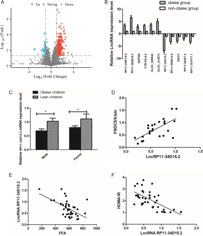 lncRNA RP11-34D15.2 sponges miR-223 to promote the PGC-1α/irisin signaling pathway, contributing to increased FFA and insulin resistance in obese children.