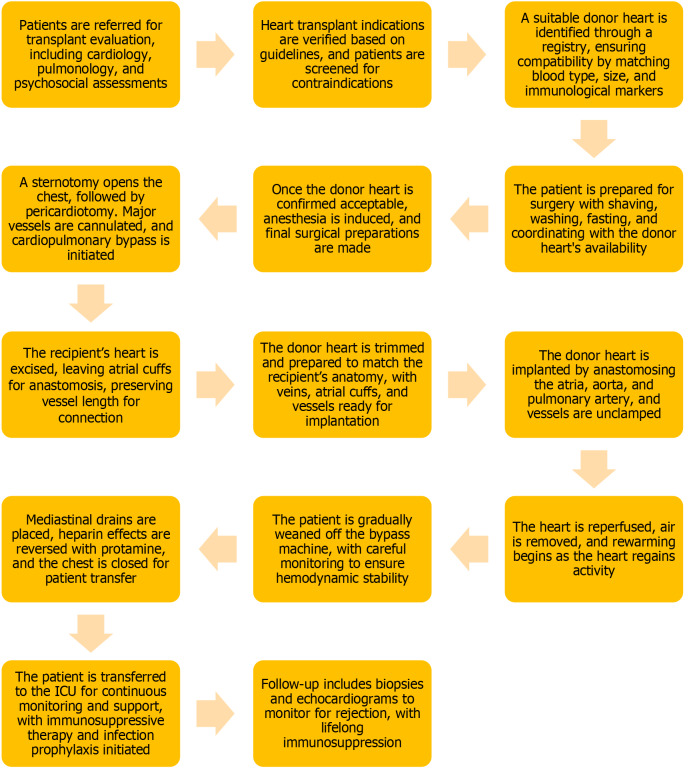 Cardiac transplantation: A review of current status and emerging innovations.