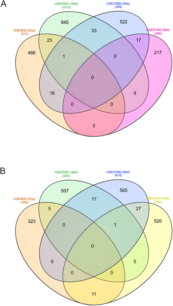 Network insights into childhood obesity: unveiling methylated-differentially expressed genes and pathways through integrative bioinformatics analysis.