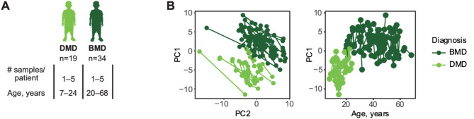 Contrasting Becker and Duchenne muscular dystrophy serum biomarker candidates by using data independent acquisition LC-MS/MS.