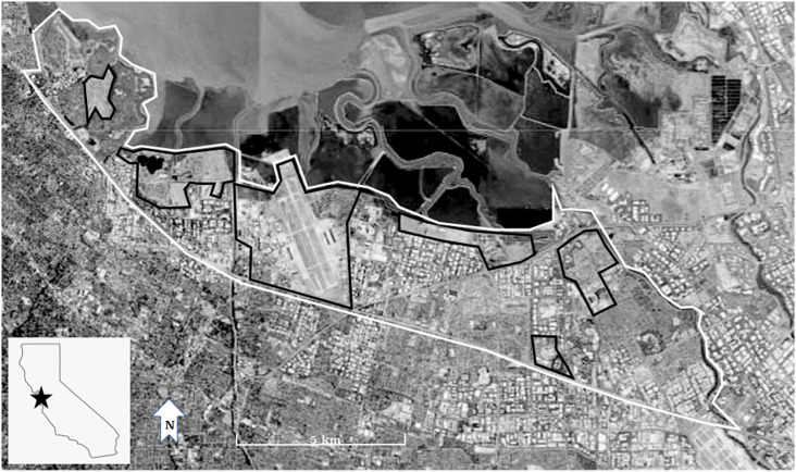 Influence of mate and nest-site fidelity on a declining, urban avian population.