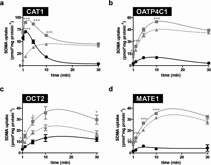 Transport of the uremic toxin symmetric dimethylarginine (SDMA) by renal transport proteins
