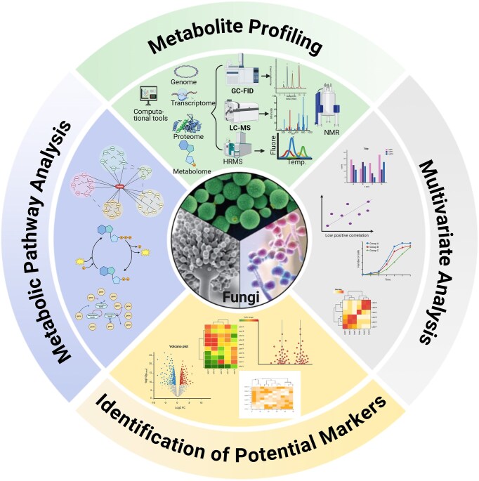 Stepping out of the dark: how metabolomics shed light on fungal biology.