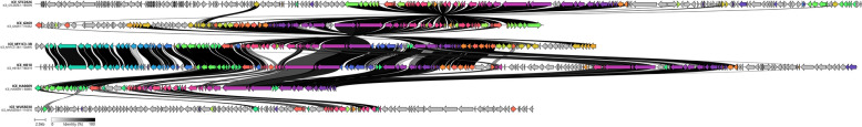 Genomic characterization and virulence of Streptococcus suis serotype 7 sequence type 373 of clonal complex 94.