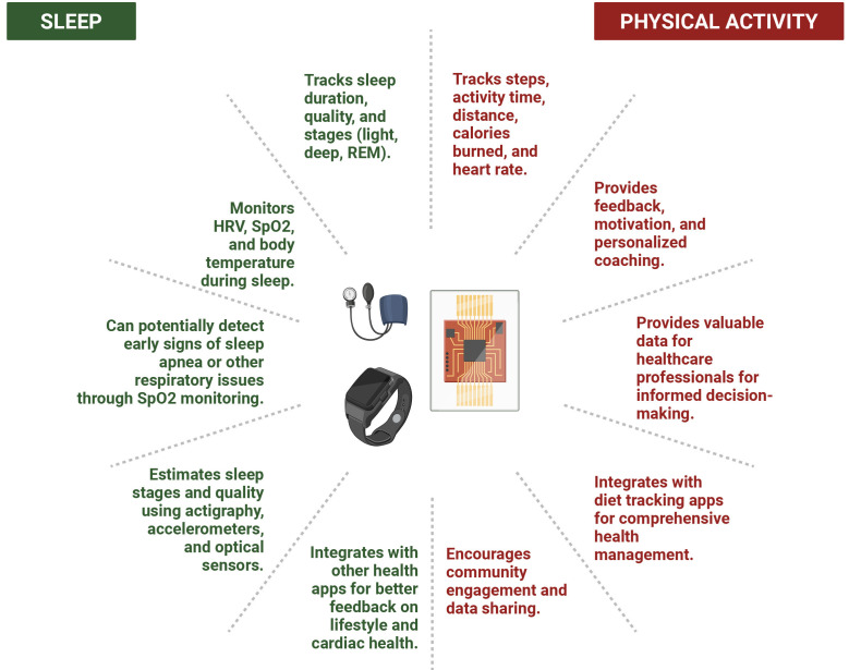 Wearable Technology in Cardiology: Advancements, Applications, and Future Prospects.