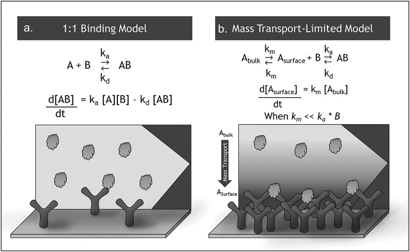 The case for calibration-free concentration analysis.
