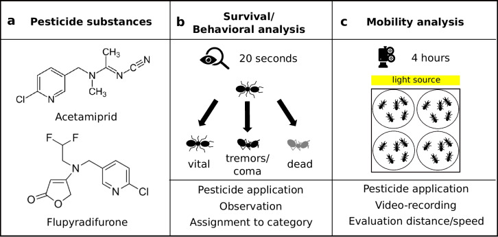 Effects of two nAChR agonists on wood ants: acetamiprid induces lethality and immediate hypoactivity, while flupyradifurone causes time-delayed hyperactivity