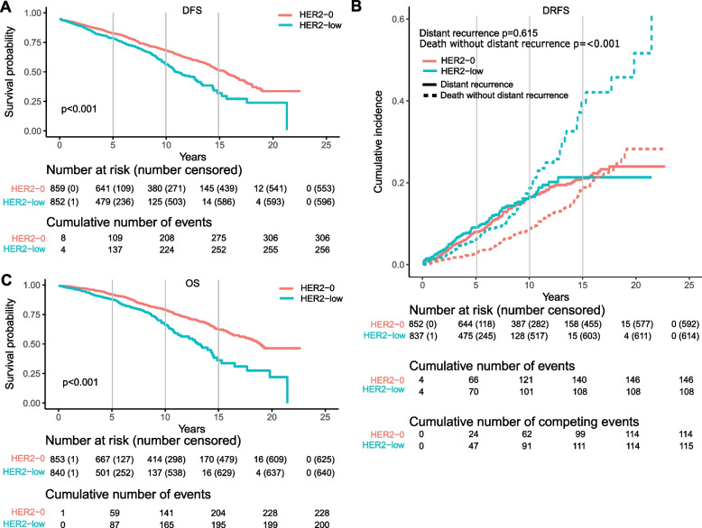 Association of HER2-low with clinicopathological features in patients with early invasive lobular breast cancer: an international multicentric study.