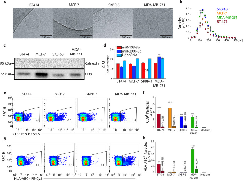 Two-dimensional analysis of plasma-derived extracellular vesicles to determine the HER2 status in breast cancer patients.