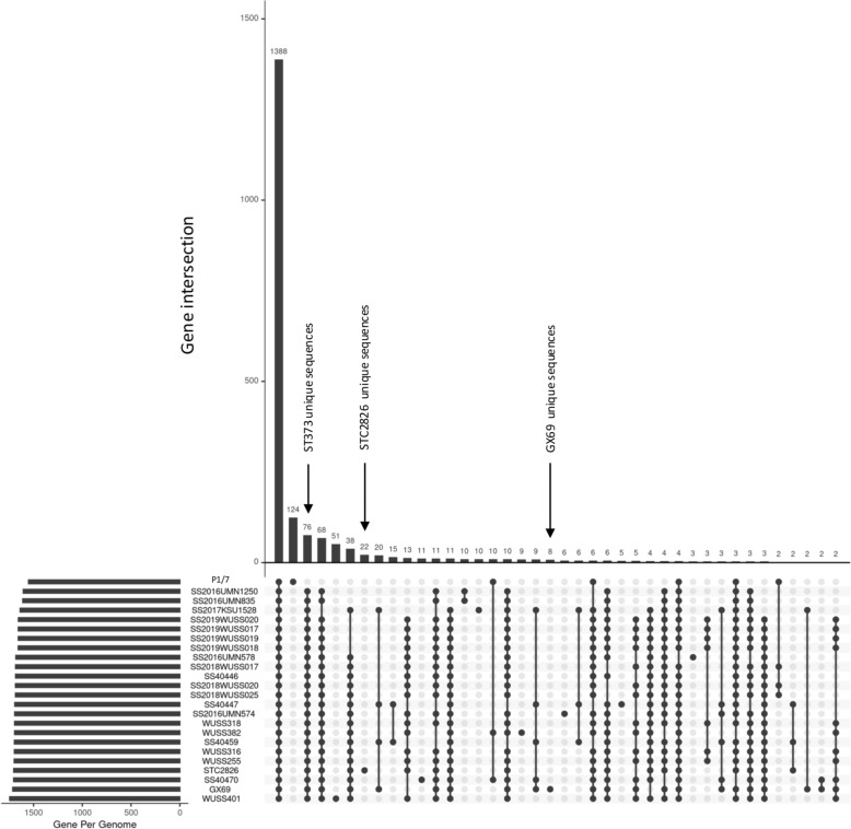 Genomic characterization and virulence of Streptococcus suis serotype 7 sequence type 373 of clonal complex 94.