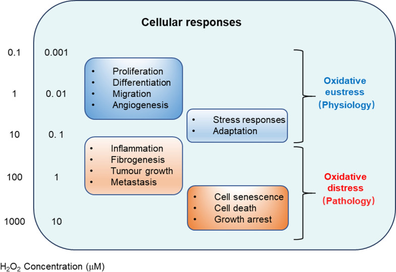 The spatiotemporal heterogeneity of reactive oxygen species in the malignant transformation of viral hepatitis to hepatocellular carcinoma: a new insight.