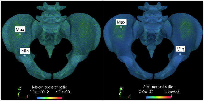 BoneDat, a database of standardized bone morphology for in silico analyses.