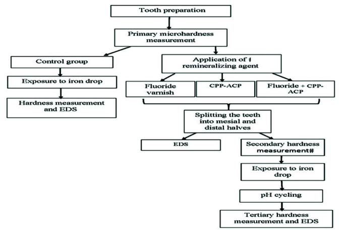 Efficacy of Remineralizing Agents for Prevention of Microhardness Reduction and Change in Mineral Content of Enamel in Anterior Primary Teeth after Exposure to Iron Drop.