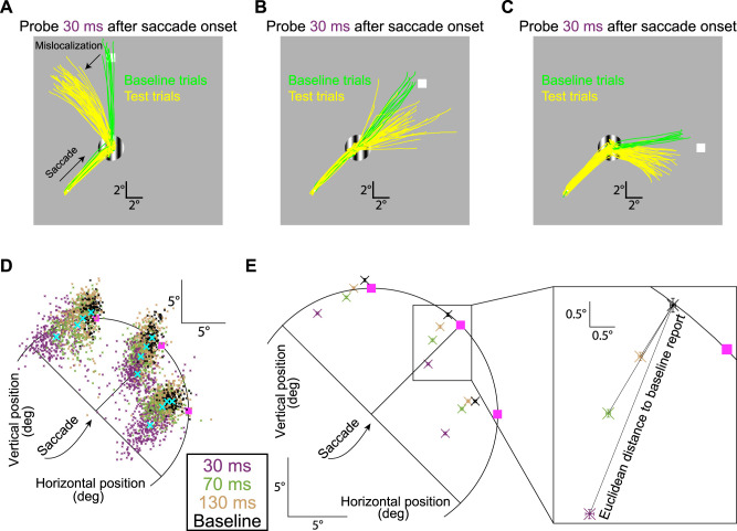Two-Dimensional Perisaccadic Visual Mislocalization in Rhesus Macaque Monkeys.