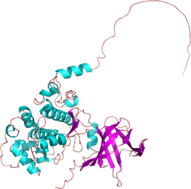 Glycogen synthase kinase 3β: a key player in progressive chronic kidney disease.