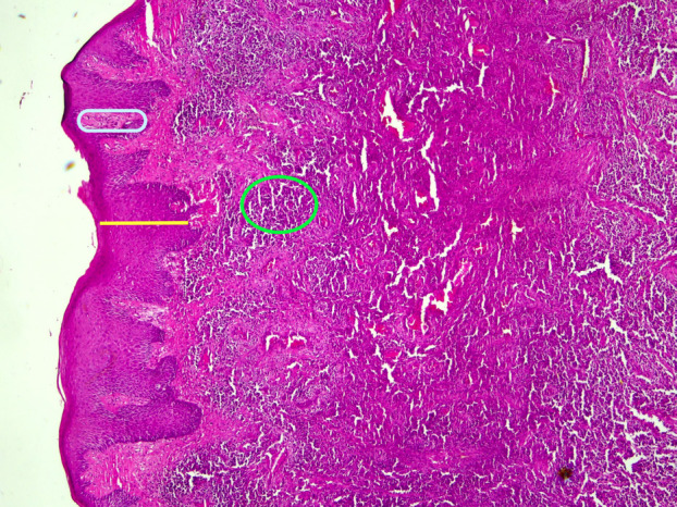 Abstract Image