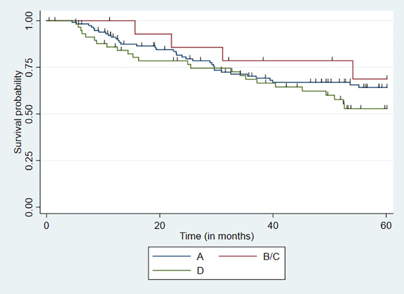 Associations between genetic HPV 16 diversity and cervical cancer prognosis.