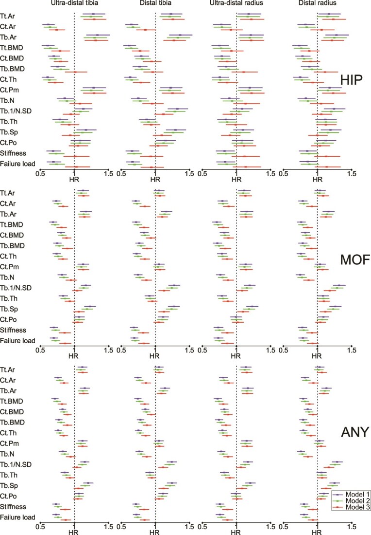 Prediction of hip fracture by high-resolution peripheral quantitative computed tomography in older Swedish women.