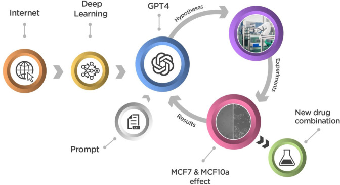 Scientific hypothesis generation by large language models: laboratory validation in breast cancer treatment.