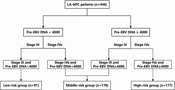 A nomogram integrating clinical stage and pre-EBV DNA to identify the cycles of induction chemotherapy for locoregionally advanced nasopharyngeal carcinoma.