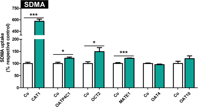Transport of the uremic toxin symmetric dimethylarginine (SDMA) by renal transport proteins