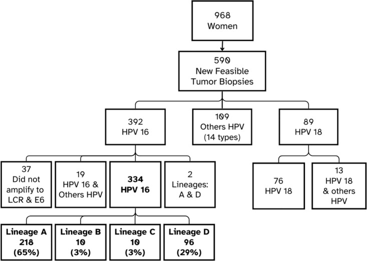 Associations between genetic HPV 16 diversity and cervical cancer prognosis.