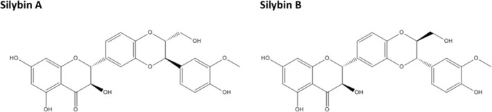 Determination of the Major Bioactive Component of Silybum marianum in Nutricosmetics by a HPLC Method With Amperometric Detection and UAE Pretreatment.