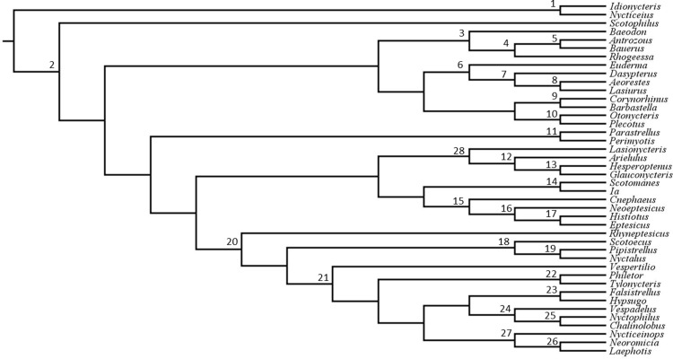 The 2 Sigma Genus Concept in mammalogy: Lessons from Lasiurus.