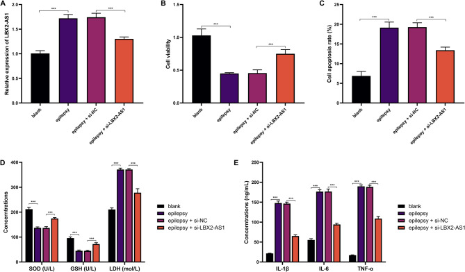 The dysregulation and regulatory mechanism of long non-coding RNA LBX2-AS1 in children with epilepsy.