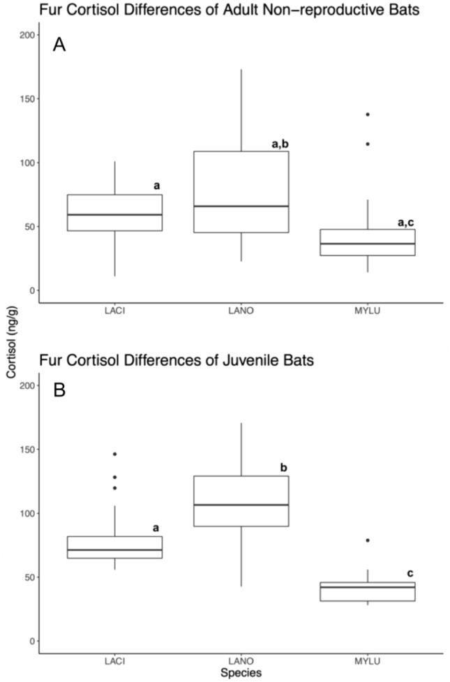 Differences in fur cortisol levels of three migratory bats.