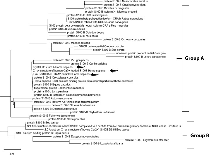 Integration of proteomics and bioinformatics in traumatic brain injury biomarker discovery.