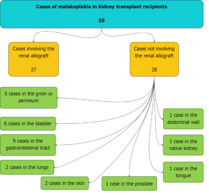 Malakoplakia in kidney transplant recipients: Three case reports.