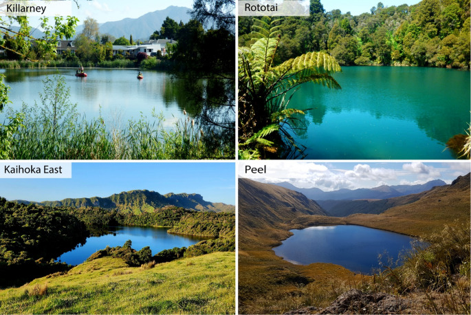 Microbial adaptations to acidic, nutrient- and metal-rich lakes in Aotearoa New Zealand.