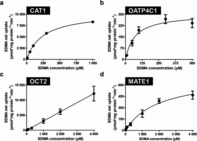 Transport of the uremic toxin symmetric dimethylarginine (SDMA) by renal transport proteins