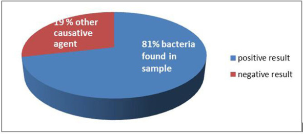 Immunological and molecular detection of biofilm formation and antibiotic resistance genes of <i>Pseudomonas aeruginosa</i> isolated from urinary tract.