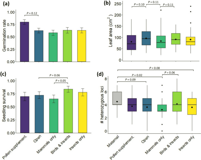 Experimental comparison of the genetic component of pollinator effectiveness in a shrub pollinated by birds, non-flying mammals and European honeybees.