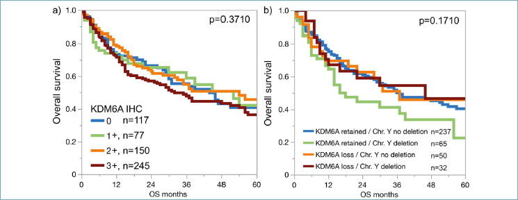KDM6A expression loss is frequent in low grade non-invasive urothelial carcinomas of the urinary bladder.
