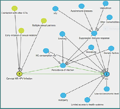 Prioritizing the risk of cervical cancer: findings from the SCCUT Multicentre Initiative.