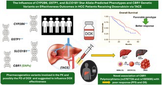 The Influence of CYP2B6, GSTP1, and SLCO1B1 Star Allele-Predicted Phenotypes and CBR1 Genetic Variants on Effectiveness Outcomes in Patients With Hepatocellular Carcinoma Receiving Doxorubicin via Transarterial Chemoembolization.