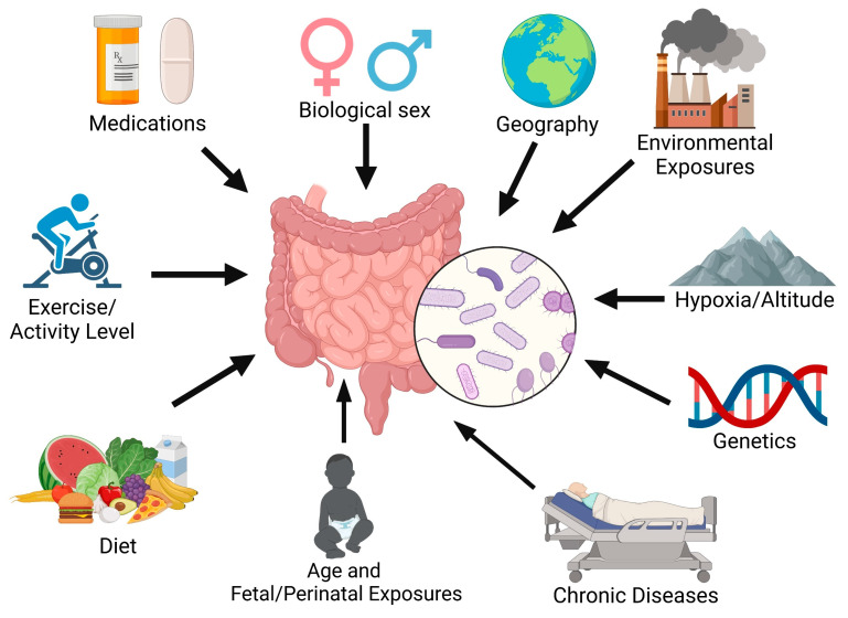 Gut Microbiome in Pulmonary Arterial Hypertension-An Emerging Frontier.