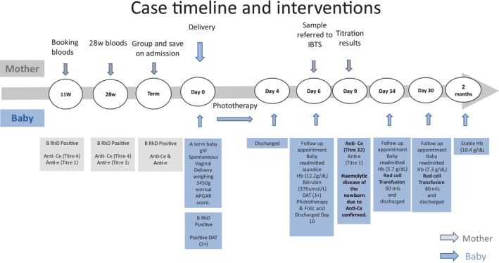 Anti-Ce in haemolytic disease of the foetus and newborn.
