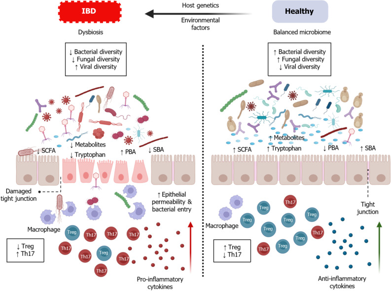 Gut virome: New key players in the pathogenesis of inflammatory bowel disease.