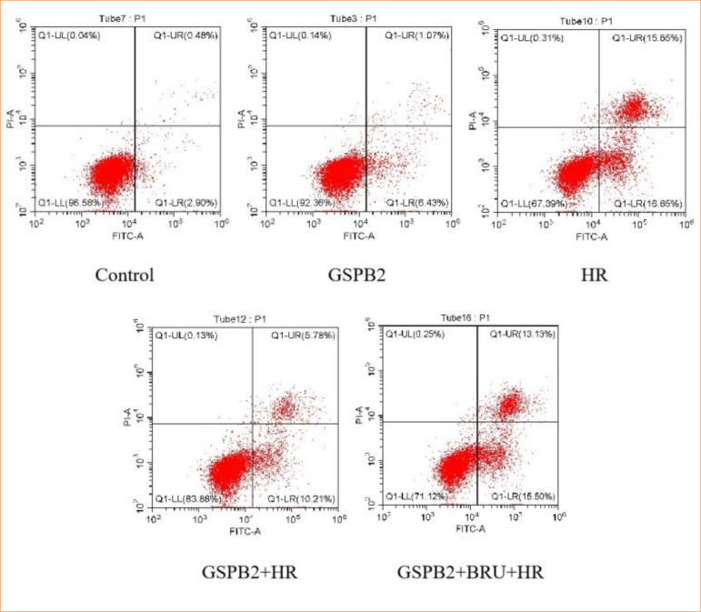 Impact of grape seed proanthocyanidin B2 pretreatment on mitochondrial oxidative stress, endoplasmic reticulum stress, and apoptosis in renal tubular epithelial cells during in-vitro hypoxia-reoxygenation.