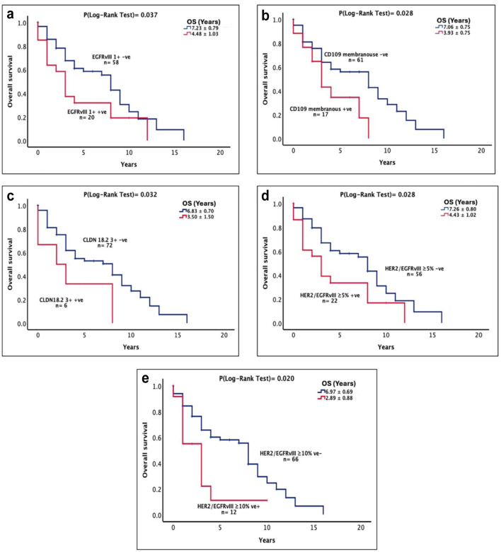 Co-expression of HER2/EGFRvIII/CD44 and Claudin 18.2/CD109 as Novel Prognostic Indicators in Stomach Adenocarcinoma.