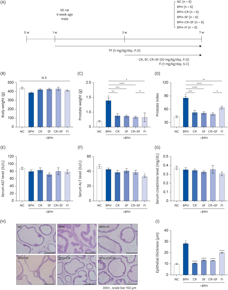 The combination of water extracts of <i>Curcumae</i> Radix and <i>Syzygii</i> Flos improves benign prostatic hyperplasia by suppressing testosterone-induced proliferation of prostate cells <i>in vivo</i> and <i>in vitro</i>.